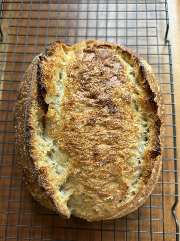 Classic Sourdough